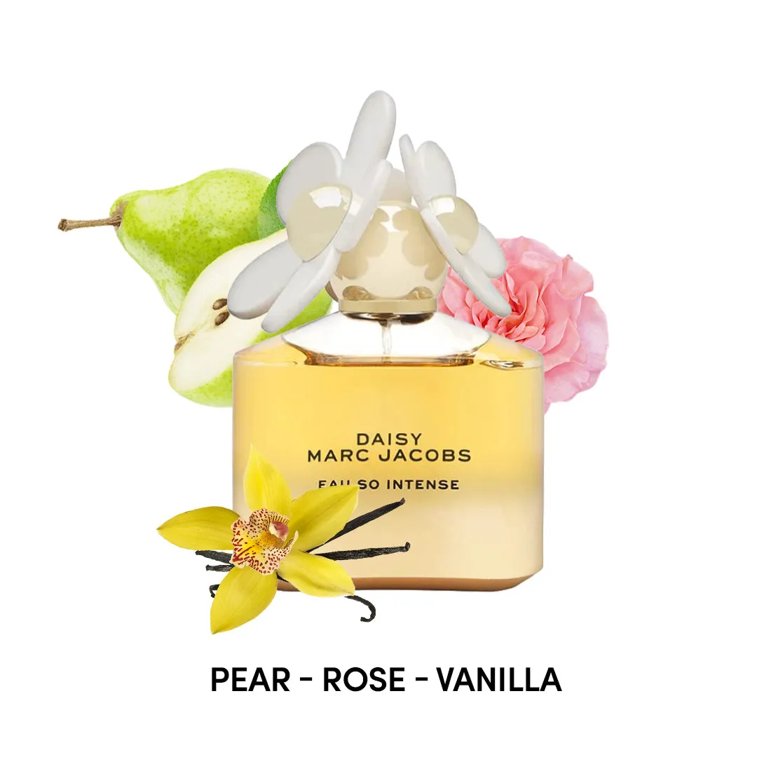 Daisy Eau So Intense For Women By Marc Jacobs Eau De Parfum 3.4 oz