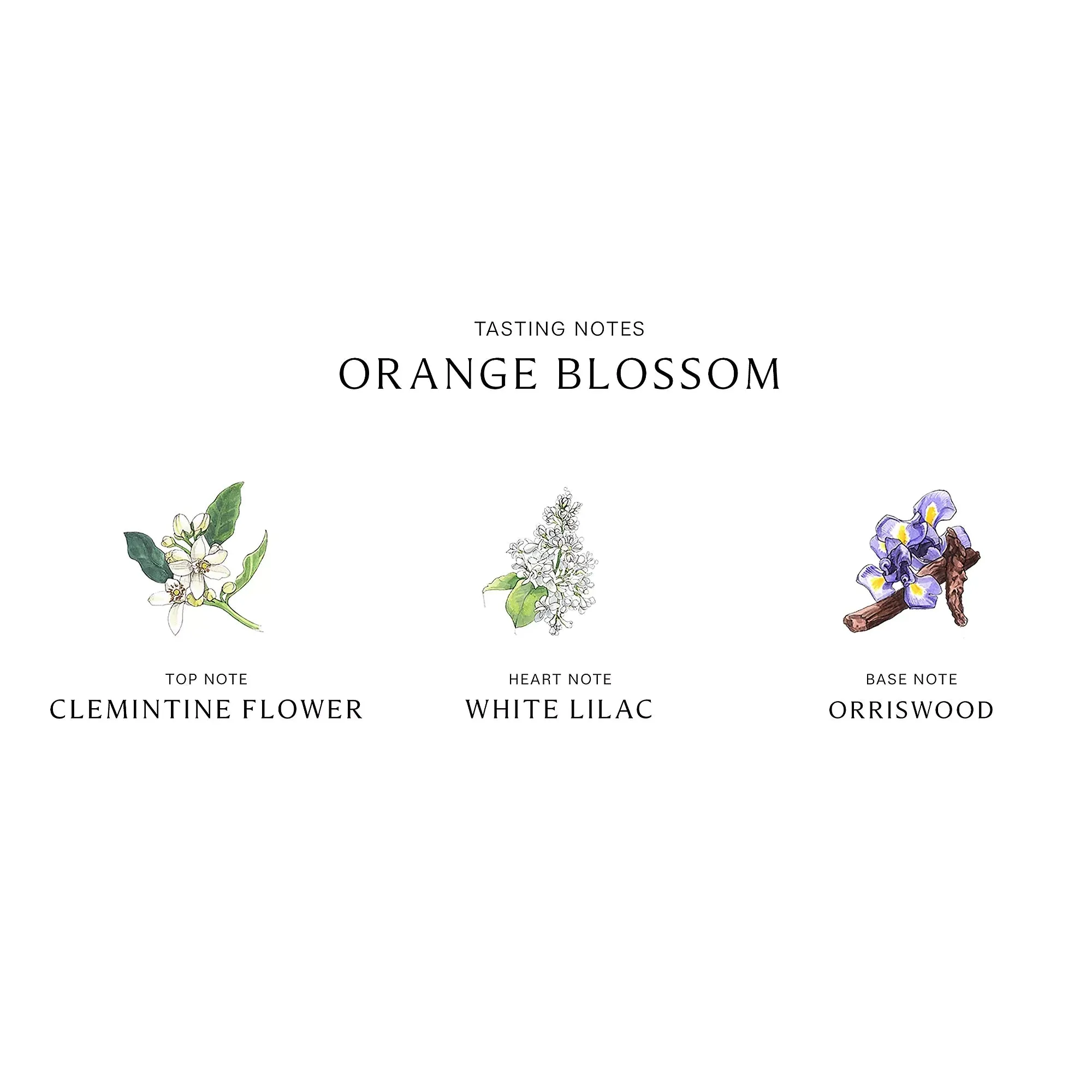 Jo Malone Orange Blossom 3.4 oz Unisex
